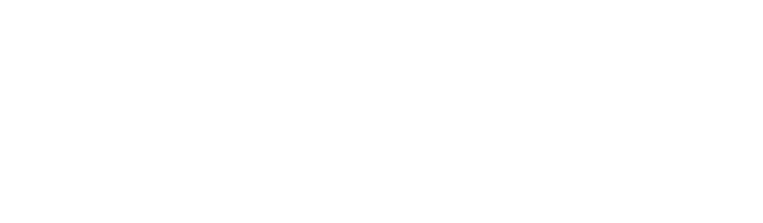 Protector Access